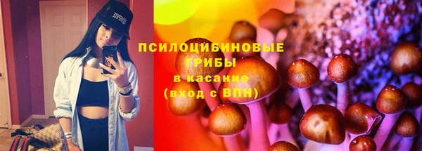 прущие крисы Богородск