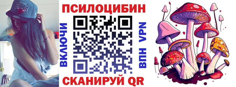 Псилоцибиновые грибы прущие грибы  Курильск 